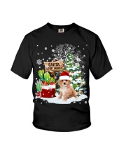 Cavachon-puppy-CS4026-Santa Stop Here-V2 Youth T-Shirt tile