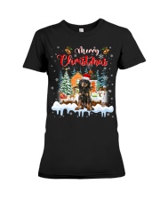 Black and Tan Coonhound -DN2254-Mery Christmas-V2 Premium Fit Ladies Tee tile