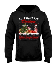 English Springer Spaniel-CS3943-Christmas-V9 Hooded Sweatshirt tile