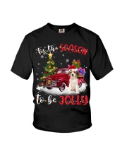 Kooikerhondje-CS3821-Tis The Season Youth T-Shirt tile