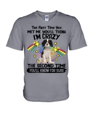 King Charles Spaniel-CS3081-The Second Time V-Neck T-Shirt tile