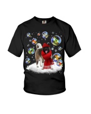 Akita-DN2331-Christmas-V11 Youth T-Shirt tile