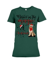 Berger Picard-CS3564-Believe In Premium Fit Ladies Tee tile