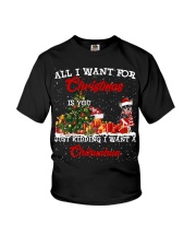 Chihuahua 3-CS3943-Christmas-V9 Youth T-Shirt tile