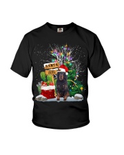 Gordon Setter -CS3743-Santa Stop Here Youth T-Shirt tile