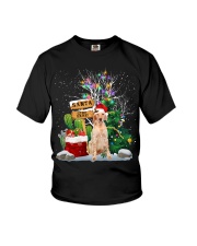 English Setter -CS3743-Santa Stop Here Youth T-Shirt tile