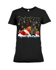 Bull Mastiff-DN2361-Christmas-V2 Premium Fit Ladies Tee tile