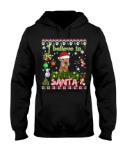 Irish Terrier-DN2343-Believe In Santa Hooded Sweatshirt tile