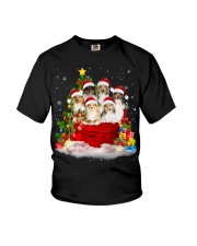 Shetland Sheepdog-Christmas-V12 Youth T-Shirt tile