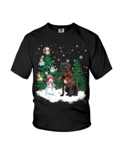 Cane Corso-CS4017-Christmas Dog-V15 Youth T-Shirt tile