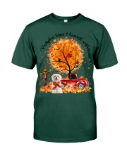 Maltese-CS4003-Pumpkin-V3 Premium Fit Mens Tee tile