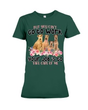 Irish Terrier-CS882-Take Care Of Me Premium Fit Ladies Tee tile