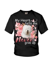 Old English Sheepdog-CS3867-Never Give Up Youth T-Shirt tile