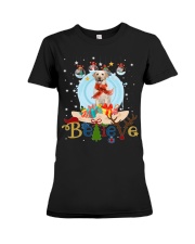 Labrador Retriever 1-CS4082-Believe-V2 Premium Fit Ladies Tee tile