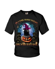 Schipperke-CS2692-On A Dark Desert Youth T-Shirt tile
