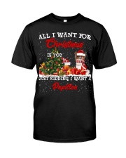 Papillon-CS3943-Christmas-V9 Classic T-Shirt front