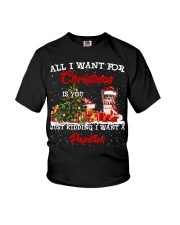 Papillon-CS3943-Christmas-V9 Youth T-Shirt tile