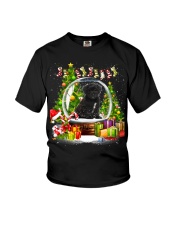 Pyrenean Shepherd-DN2296-Mery Christmas-V6 Youth T-Shirt tile