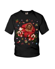 Irish Setter-CS3732-Christmas Letter Youth T-Shirt tile