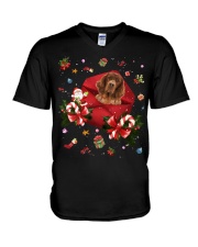 Irish Setter-CS3732-Christmas Letter V-Neck T-Shirt tile