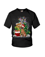 Rhodesian Ridgeback -CS3743-Santa Stop Here Youth T-Shirt tile