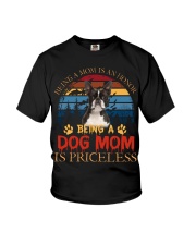 Boston Terrier-CS3248-Is Priceless-V2 Youth T-Shirt tile