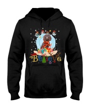Boykin Spaniel-CS4082-Believe-V2 Hooded Sweatshirt tile