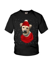 Blackmouth Cur-CS3617-Christmas Dog-V17 Youth T-Shirt tile