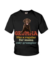 Flat Coated Retriever-CS3128-Like A Regular Youth T-Shirt tile