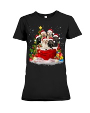 Labrador-Christmas-V12 Premium Fit Ladies Tee tile