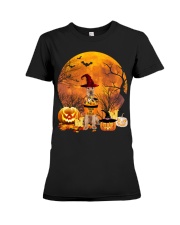 Irish Terrier -CS3191-Trick Or Treat-V2 Premium Fit Ladies Tee tile