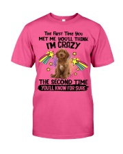 Australian Labradoodle-CS3081-The Second Time Classic T-Shirt tile