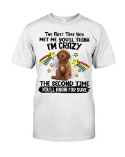 Australian Labradoodle-CS3081-The Second Time Classic T-Shirt front