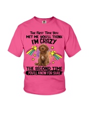 Australian Labradoodle-CS3081-The Second Time Youth T-Shirt tile