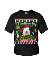 Old English Sheepdog-DN2343-Believe In Santa Youth T-Shirt tile