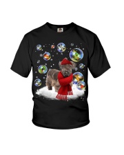 Cesky Terrier-DN2331-Christmas-V11 Youth T-Shirt tile