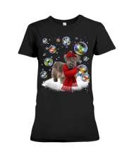 Cesky Terrier-DN2331-Christmas-V11 Premium Fit Ladies Tee tile