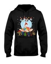 Saluki-CS4082-Believe-V2 Hooded Sweatshirt tile