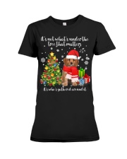 Cavapoo-CS4014-That Matters Premium Fit Ladies Tee tile