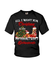 Goldendoodle-CS3943-Christmas-V9 Youth T-Shirt tile