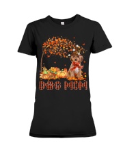 Cockapoo-CS3257-Dog Mom-V12 Premium Fit Ladies Tee tile