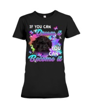 Affenpinscher-CS3273-If You Can Premium Fit Ladies Tee tile