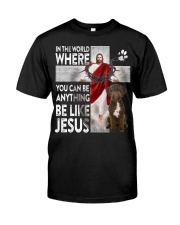 Lagotto Romagnolo-CS3937-Be Like Jesus Classic T-Shirt front
