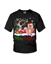 Pomeranian-CS3958-Christmas-V6 Youth T-Shirt tile