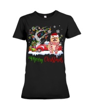 Pomeranian-CS3958-Christmas-V6 Premium Fit Ladies Tee tile