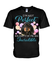 Black and Tan Coonhound-CS3002-Incredible V-Neck T-Shirt tile