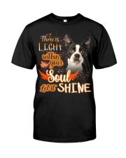 Boston Terrier-02-NT648-There Is Light Premium Fit Mens Tee tile