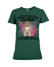 American Bulldog-DN2158-You Meet Me Premium Fit Ladies Tee tile