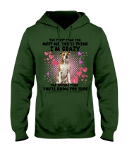 American Bulldog-DN2158-You Meet Me Hooded Sweatshirt tile