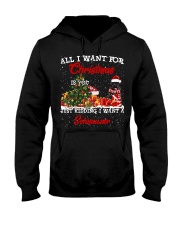 Schnauzer-CS3943-Christmas-V9 Hooded Sweatshirt tile